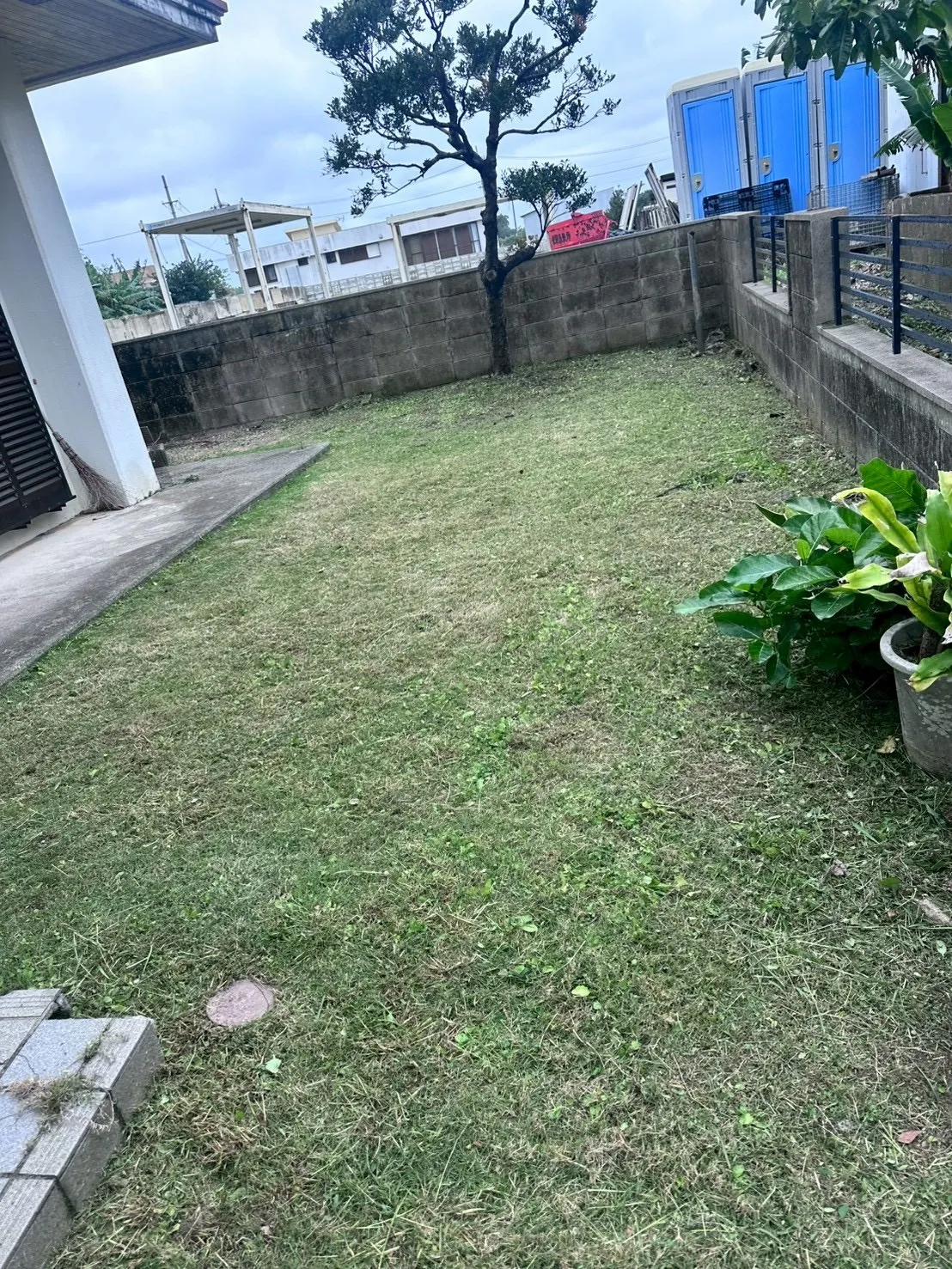 お庭定期管理